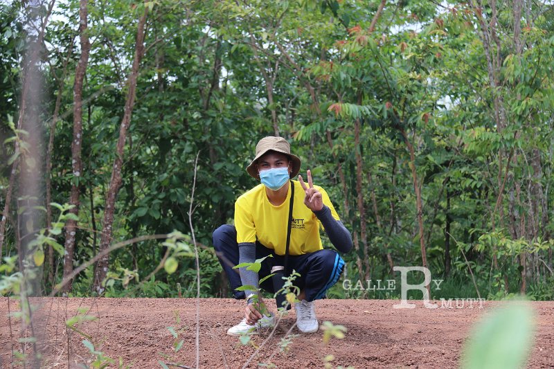 20210526-Tree planting dayt-034.jpg